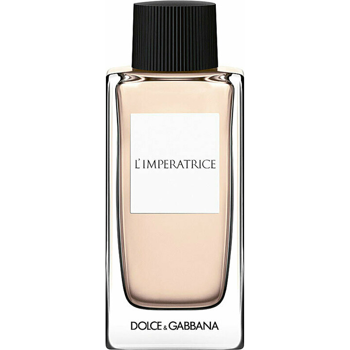 dolce & gabbana the only one