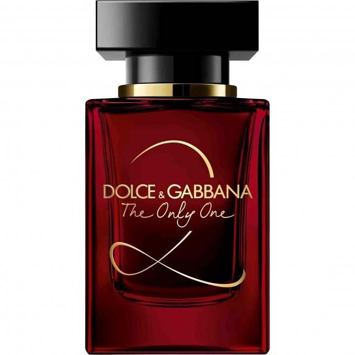 dolce & gabbana dolce vita