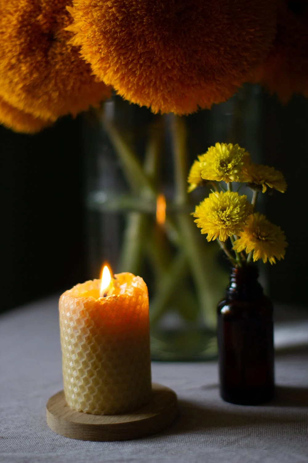 alpines candle wild flowers